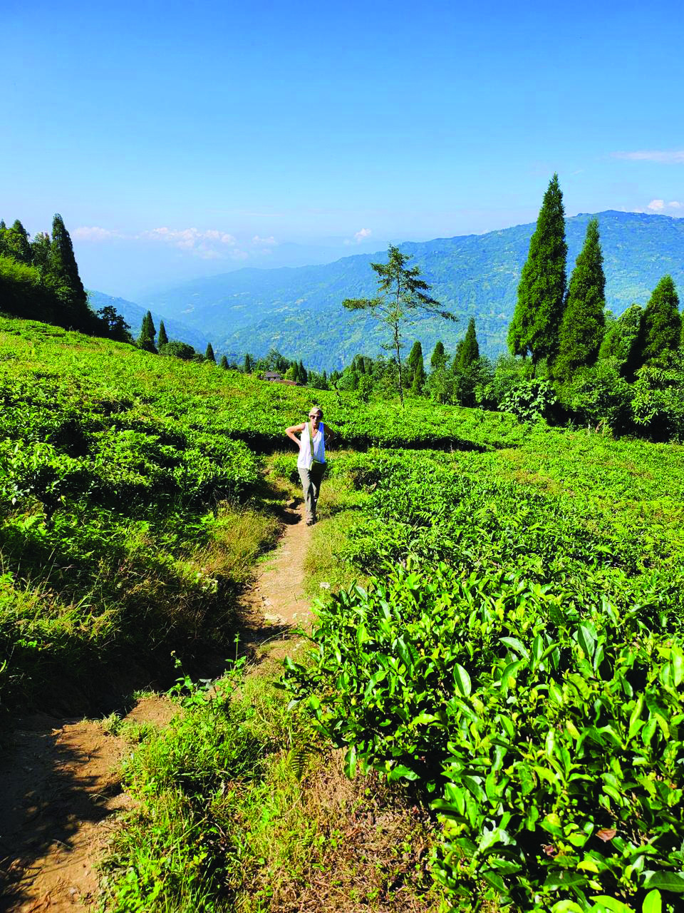 Ambassador visiting tea gardens in Ilam